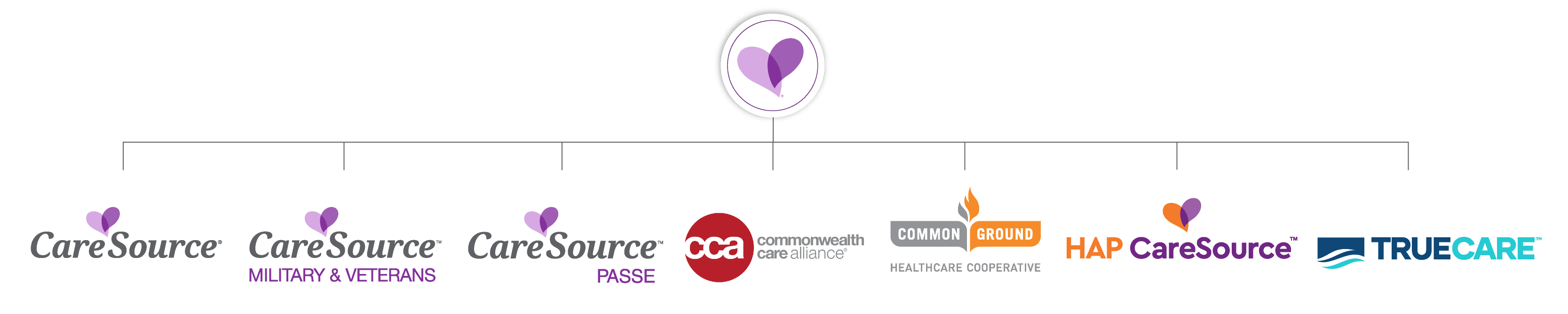 TrueCare Family of Companies - Web Banner